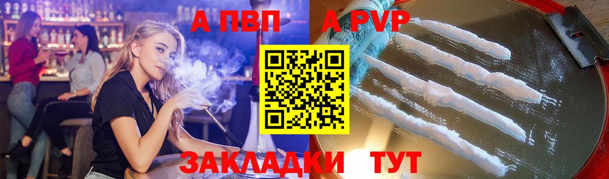 Новороссийск  Альфа ПВП крисы CK  Вход с VPN  A PVP  А ПВП СК 