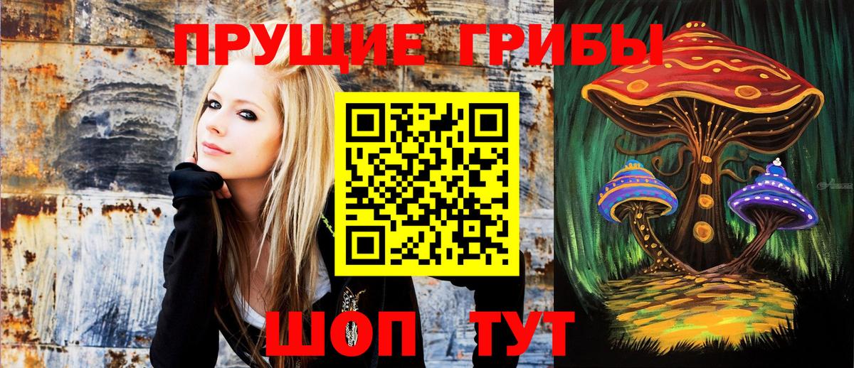 купить наркотики цена  Вход с VPN  Новороссийск  Галлюциногенные грибы GOLDEN TEACHER 