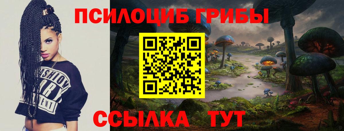 Псилоцибиновые грибы ЛСД Новороссийск